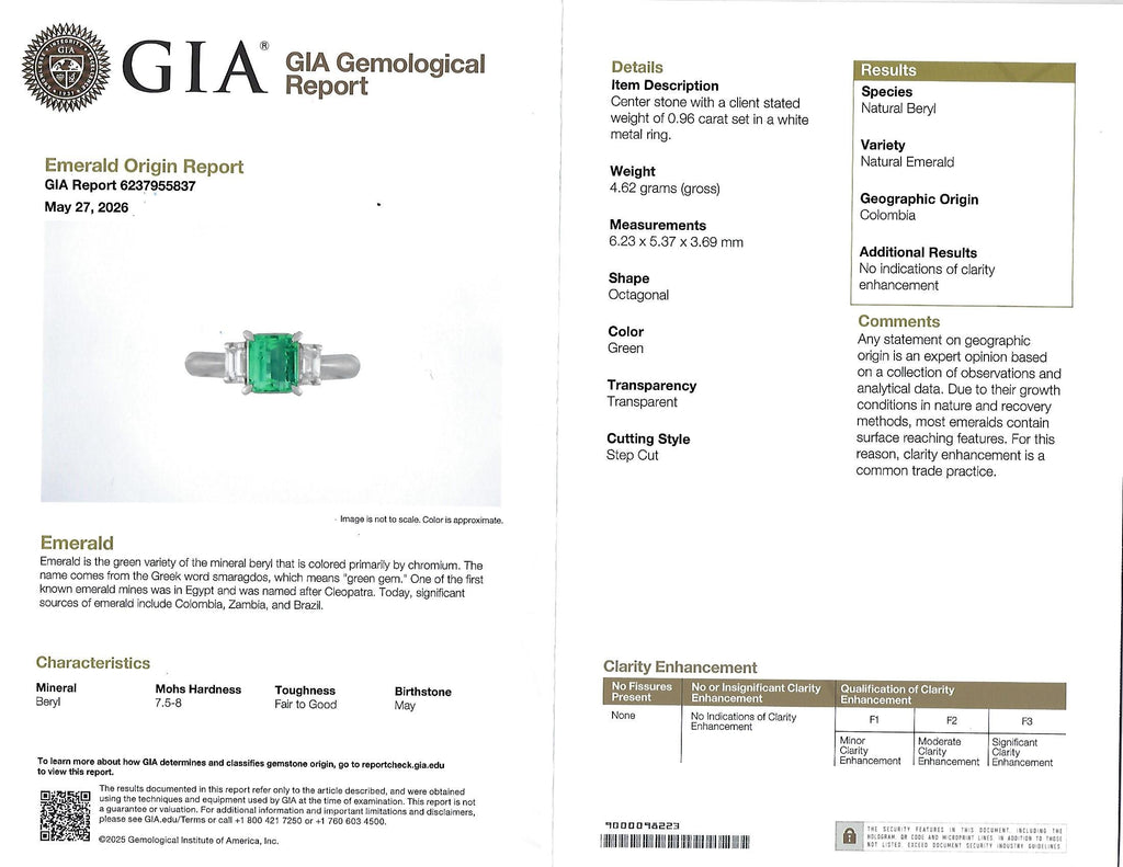 0.96ct GIA Colombian Untreated No Oil Emerald & Diamond Platinum Ring Size 5.75