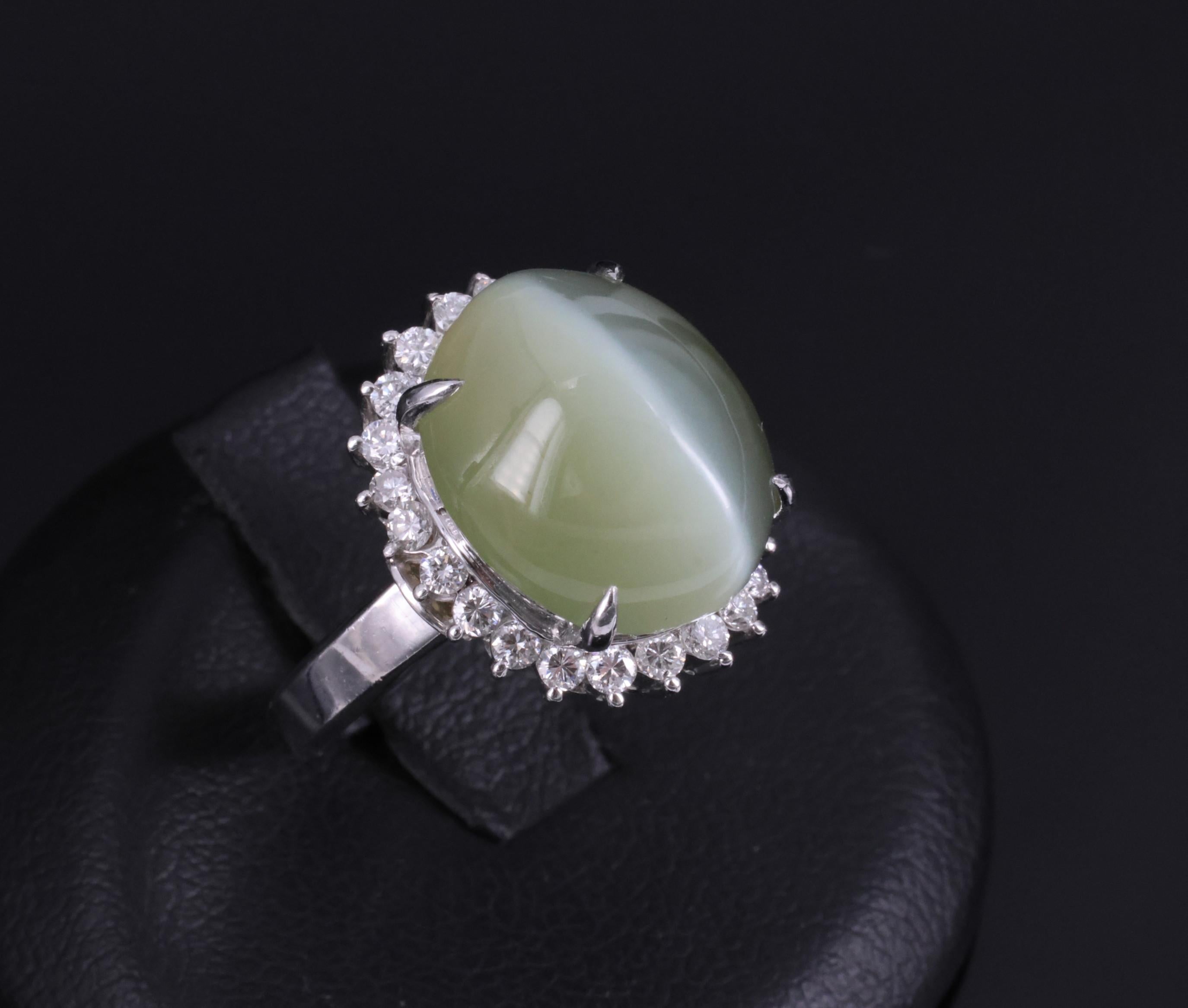 Rare 7.73ct Natural Nephrite Jade Cat's Eye 0.55ct Diamond Platinum Ring Sz 4.25